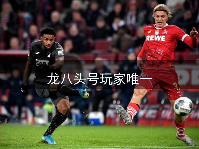 网站介绍
